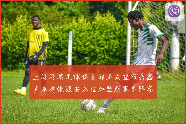 上海海港足球俱乐部正式宣布岳鑫卢永涛张源安永佳加盟新赛季阵容更新